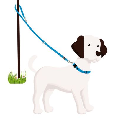 Multi loop dog lead shop